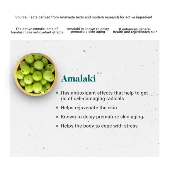 AMALAKI TABLET3 580x580