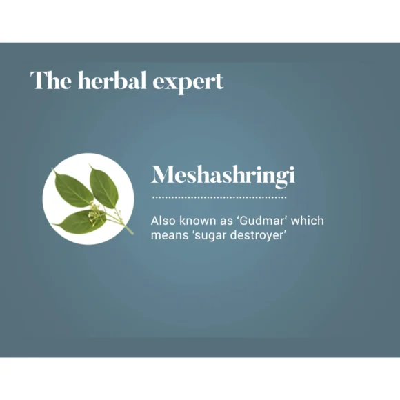 MESHASHRINGI TAB 4 580x580
