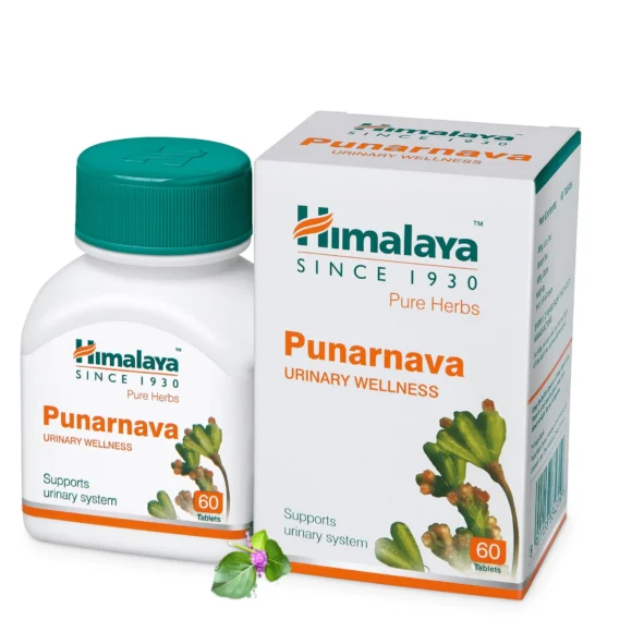 PUNARNAVA TAB 1 580x580