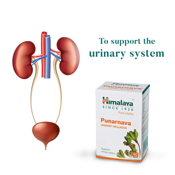 PUNARNAVA TAB 2 580x580