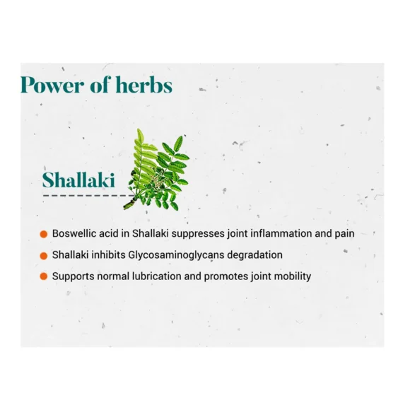 SHALLAKI TABLET4 580x580